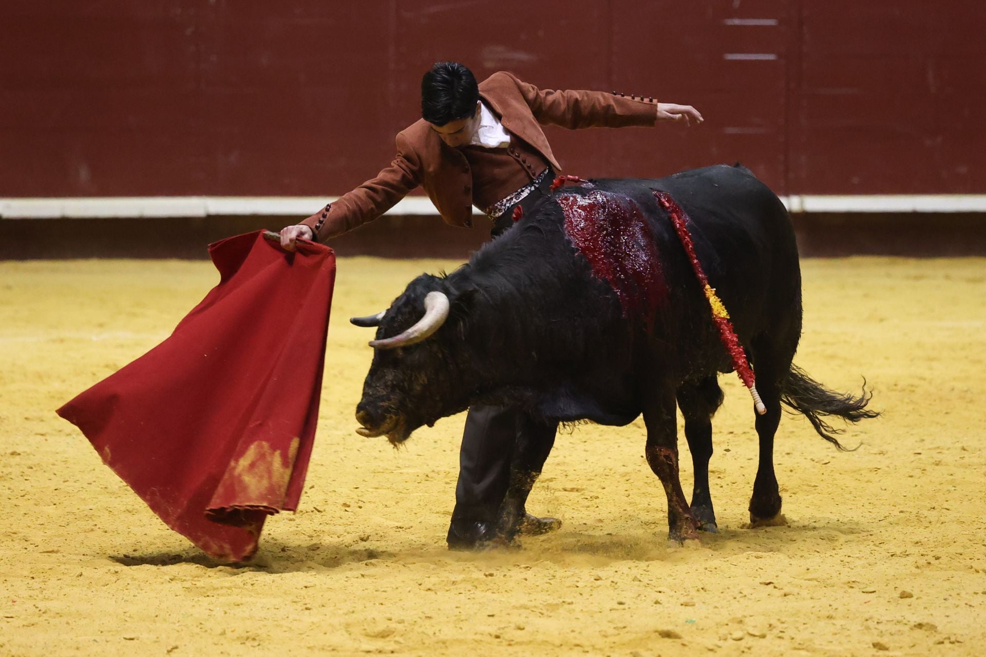 El IX Festival Taurino de La Flecha, en imágenes