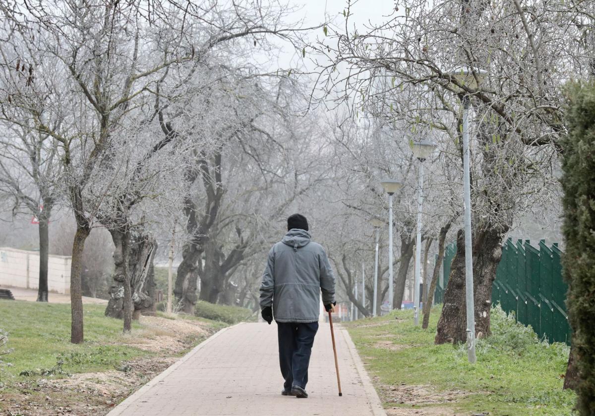 Heladas negras en Valladolid: por qué son tan dañinas para los cultivos