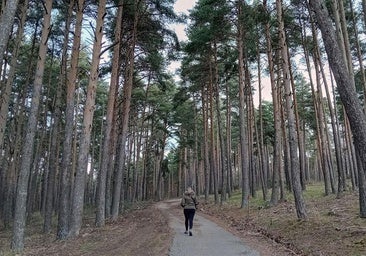La ampliación en Madrid del Parque de Guadarrama, entre los retos para este 2025
