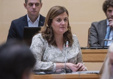 «Han abierto el cajón, han visto los proyectos más avanzados y han elegido»
