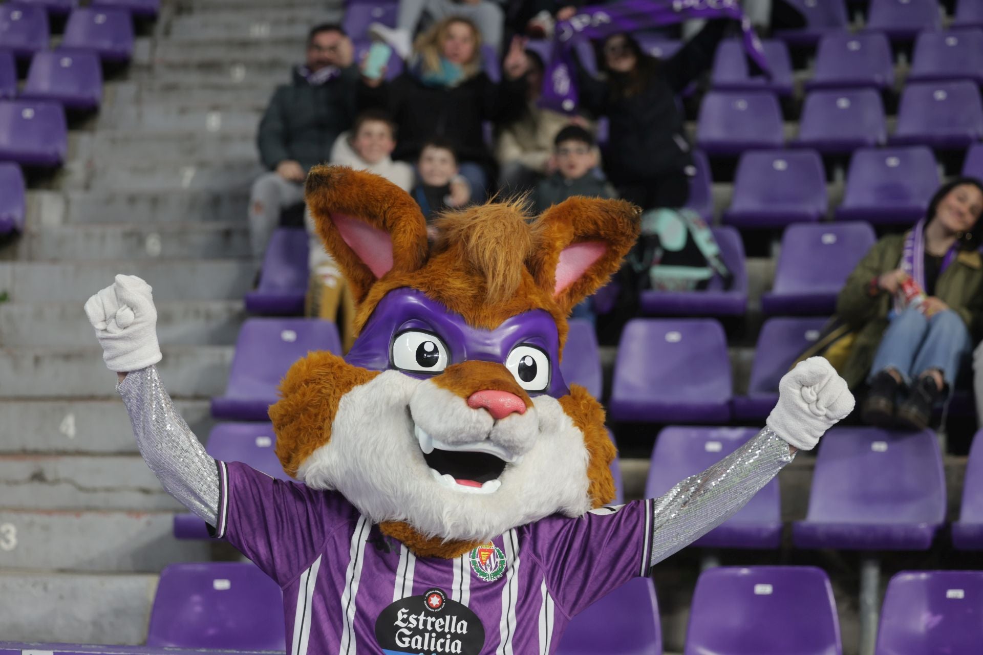 Búscate en la grada del Real Valladolid - UD Las Palmas (1/4)