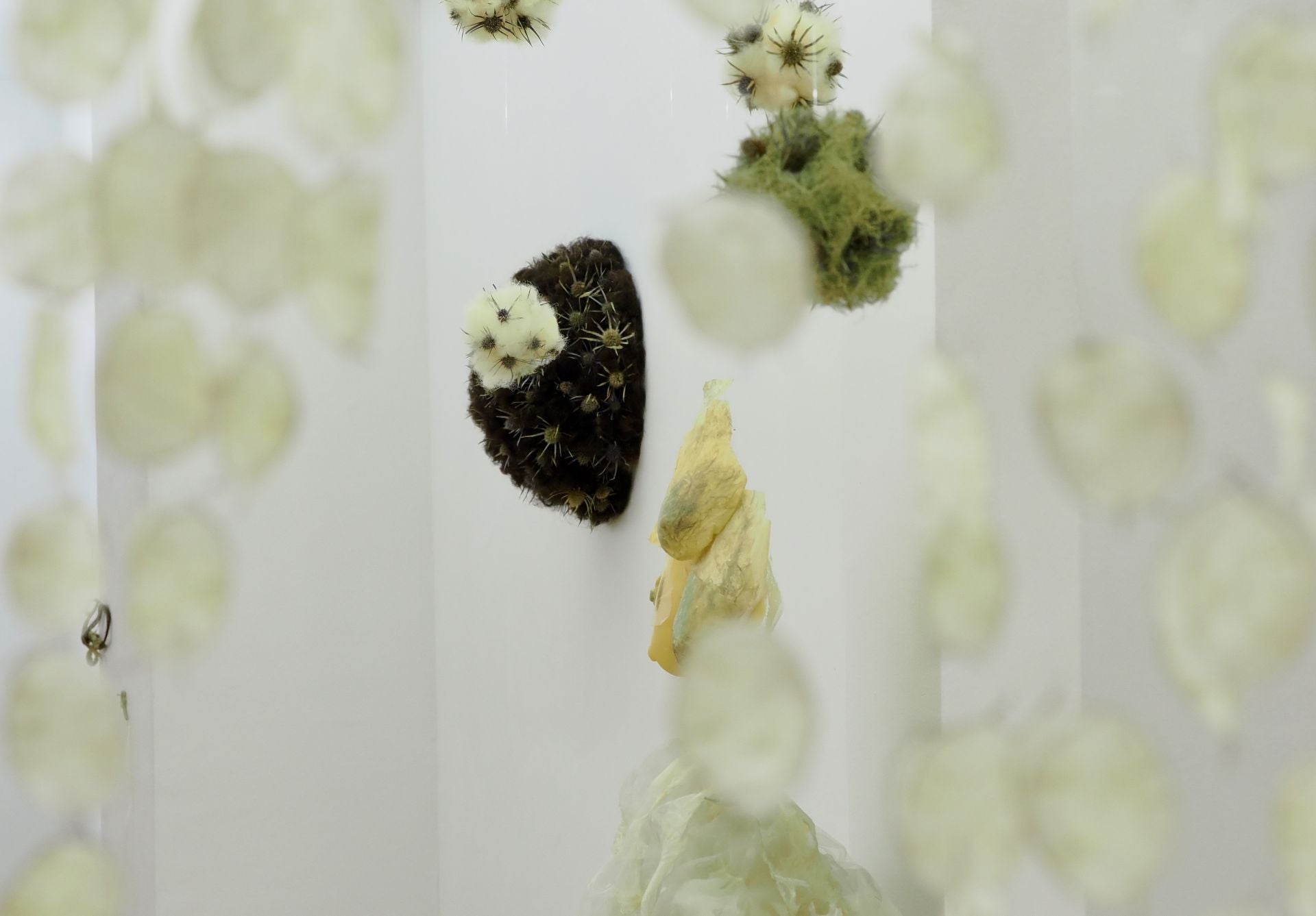 La nueva exposición de arte inspirada en Hadas y Monstruos en imágenes