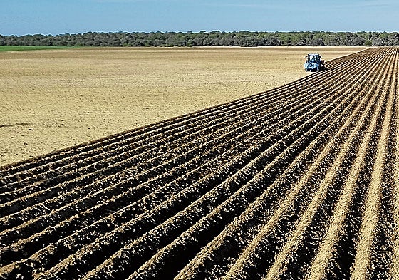 El futuro de la agricultura y ganadería familiar, a debate en el Congreso de UPA