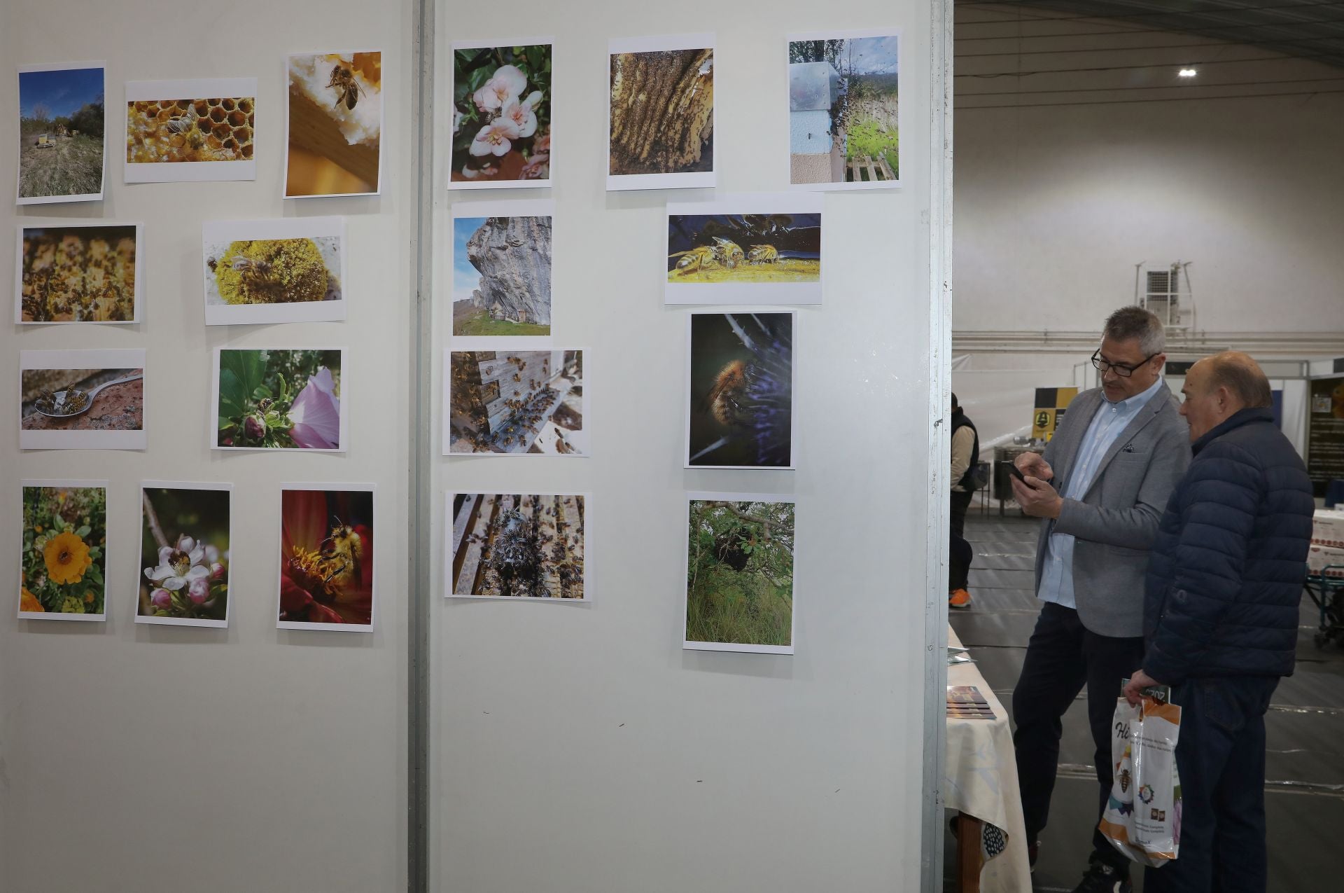 Así es la VI Feria Apícola de Castilla y León en Palencia