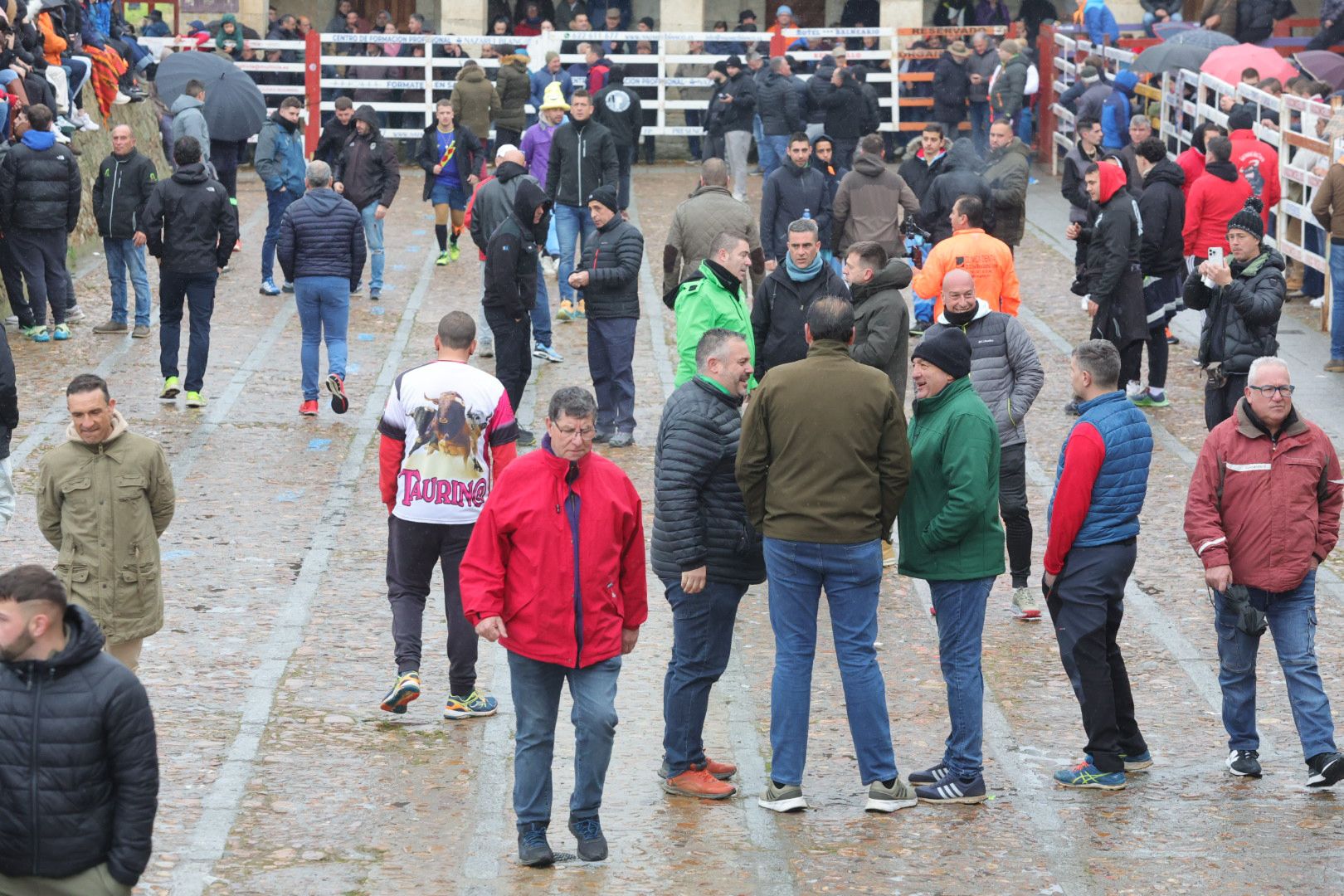 Lunes del Carnaval del Toro en Ciudad Rodrigo