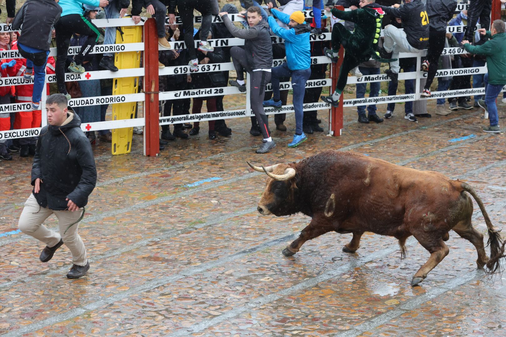 Lunes del Carnaval del Toro en Ciudad Rodrigo