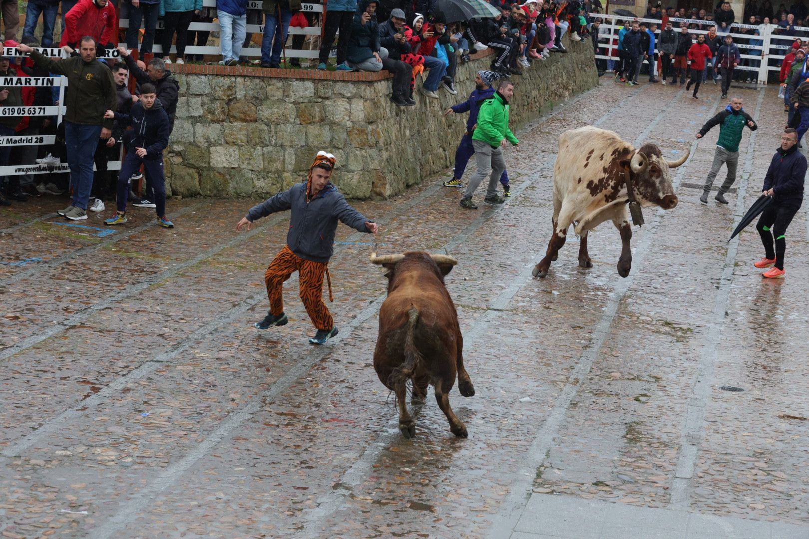 Lunes del Carnaval del Toro en Ciudad Rodrigo