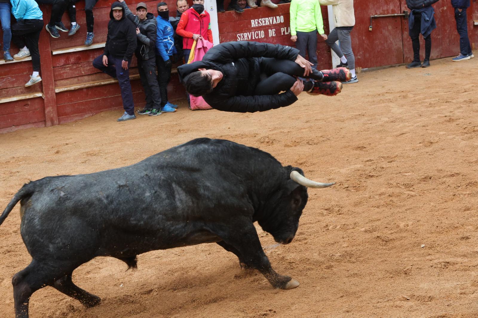 Lunes del Carnaval del Toro en Ciudad Rodrigo