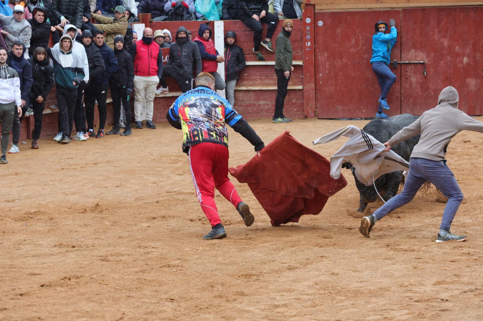 Lunes del Carnaval del Toro en Ciudad Rodrigo