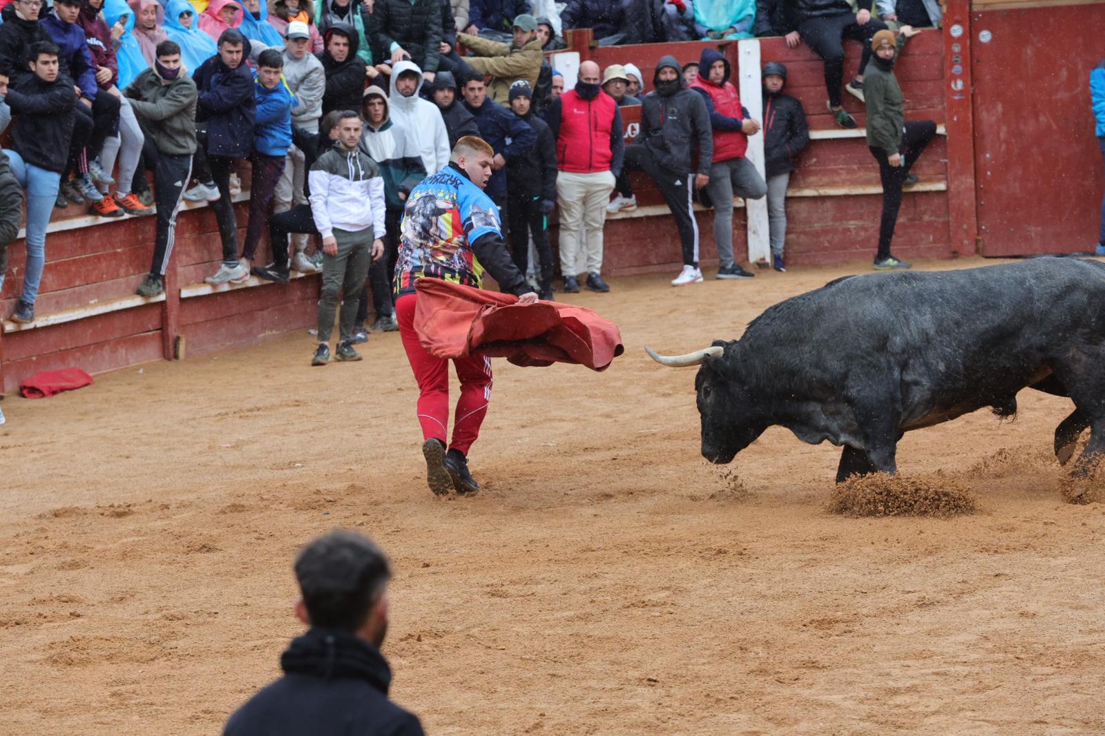 Lunes del Carnaval del Toro en Ciudad Rodrigo
