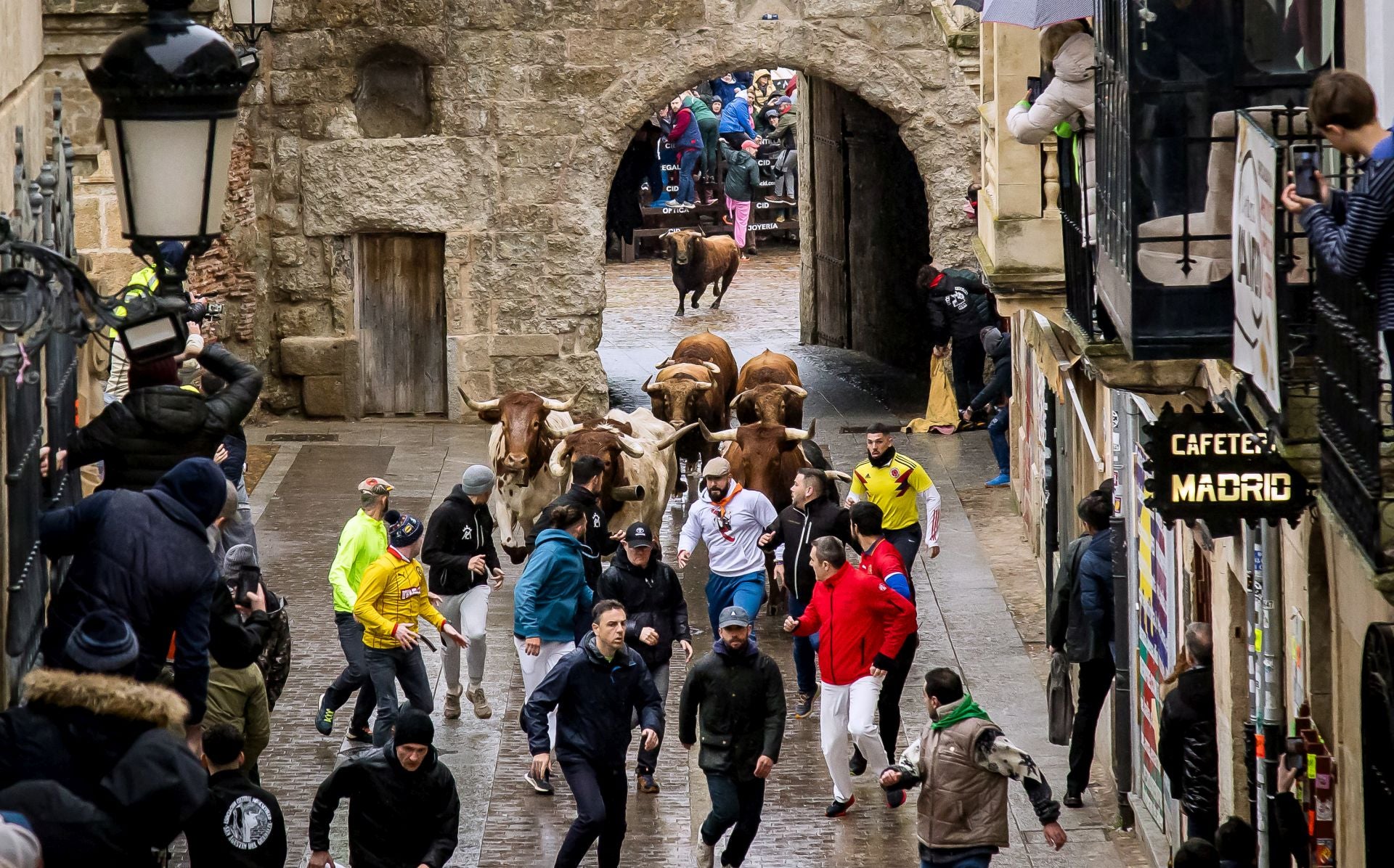 Lunes del Carnaval del Toro en Ciudad Rodrigo