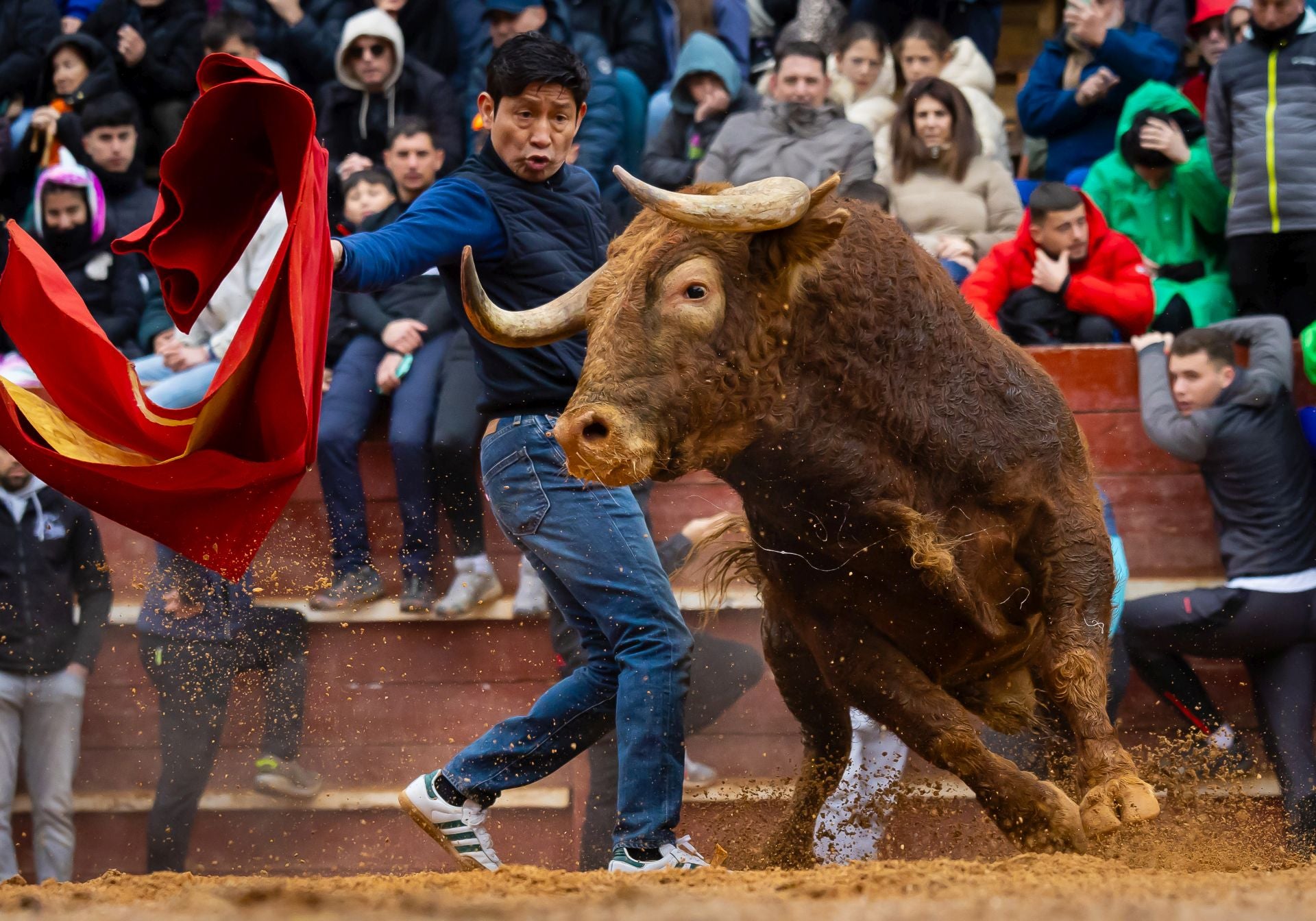 Lunes del Carnaval del Toro en Ciudad Rodrigo