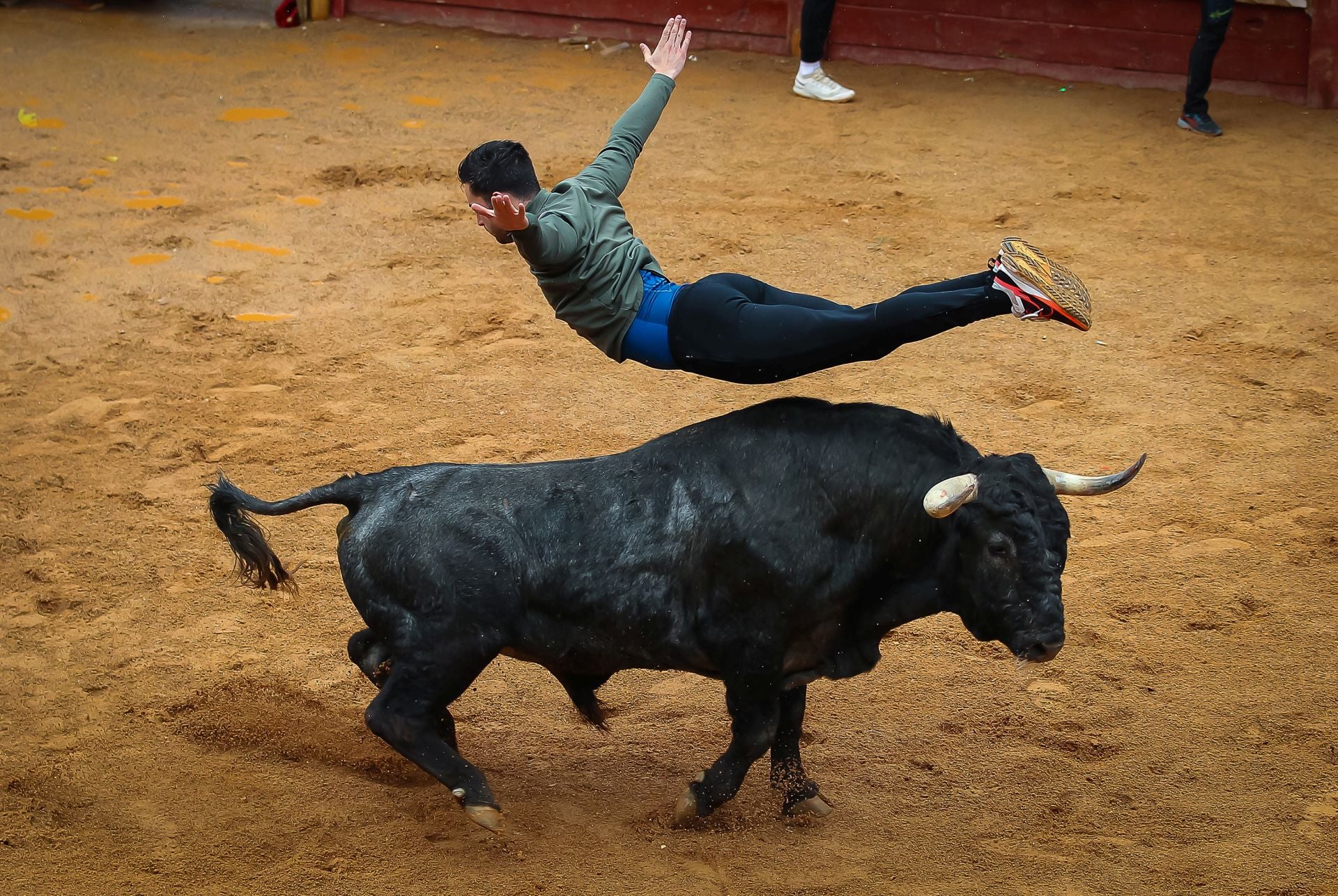 Lunes del Carnaval del Toro en Ciudad Rodrigo
