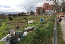 Huertos urbanos de Villa Luz, junto al Hospital.