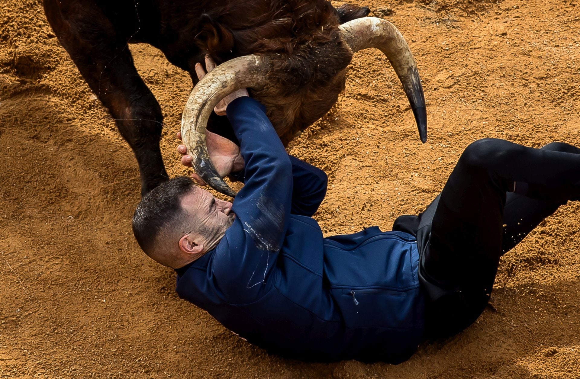Así han sido las cogidas a los tres corneados en Ciudad Rodrigo