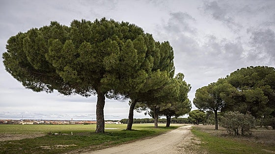 Valdestillas, un cruce de caminos con reclamo turístico