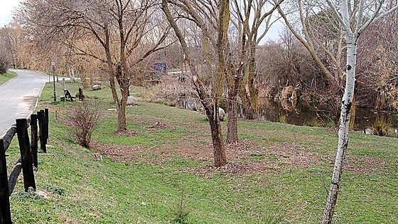 El futuro de Marugán pasa por la mejora del medio ambiente