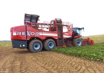 La producción de remolacha cae un 10% por hectárea, según Azucarera