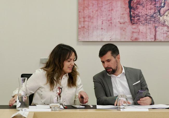 Los socialistas Patricia Gómez y Luis Tudanca, durante la Jutna de Portavoces.