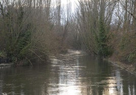 Río Eresma a su paso por Segovia capital.