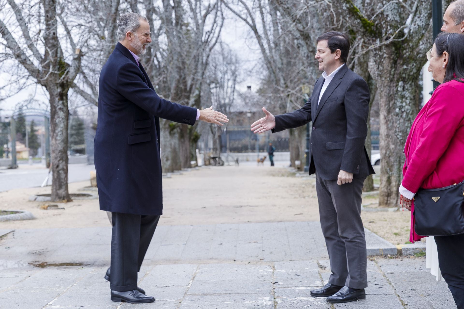 Fotos de la visita del rey Felipe VI a La Granja de San Ildefonso