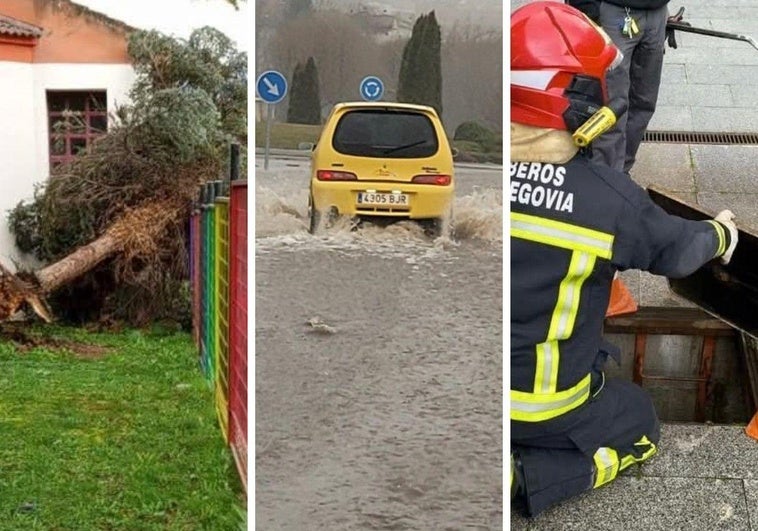 Árbol derribado por el viento en el Real Sitio; coche transita por una carretera inundada en El Espinar, y bomberos de Segovia intervienen en la Casa de la Moneda.