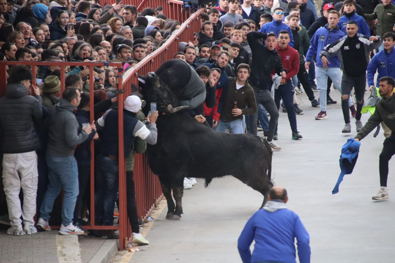 Secuencia de la aparatosa cogida a un aficionado en el Toro de Carnaval de Rioseco