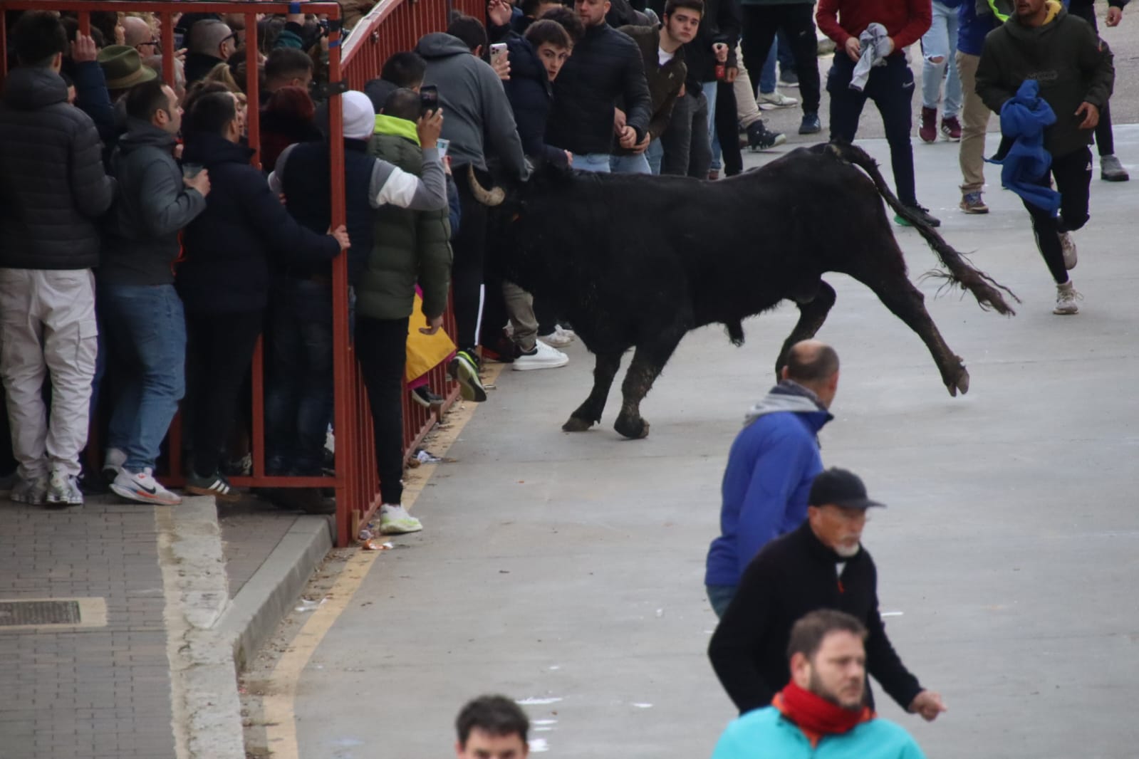 Secuencia de la aparatosa cogida a un aficionado en el Toro de Carnaval de Rioseco