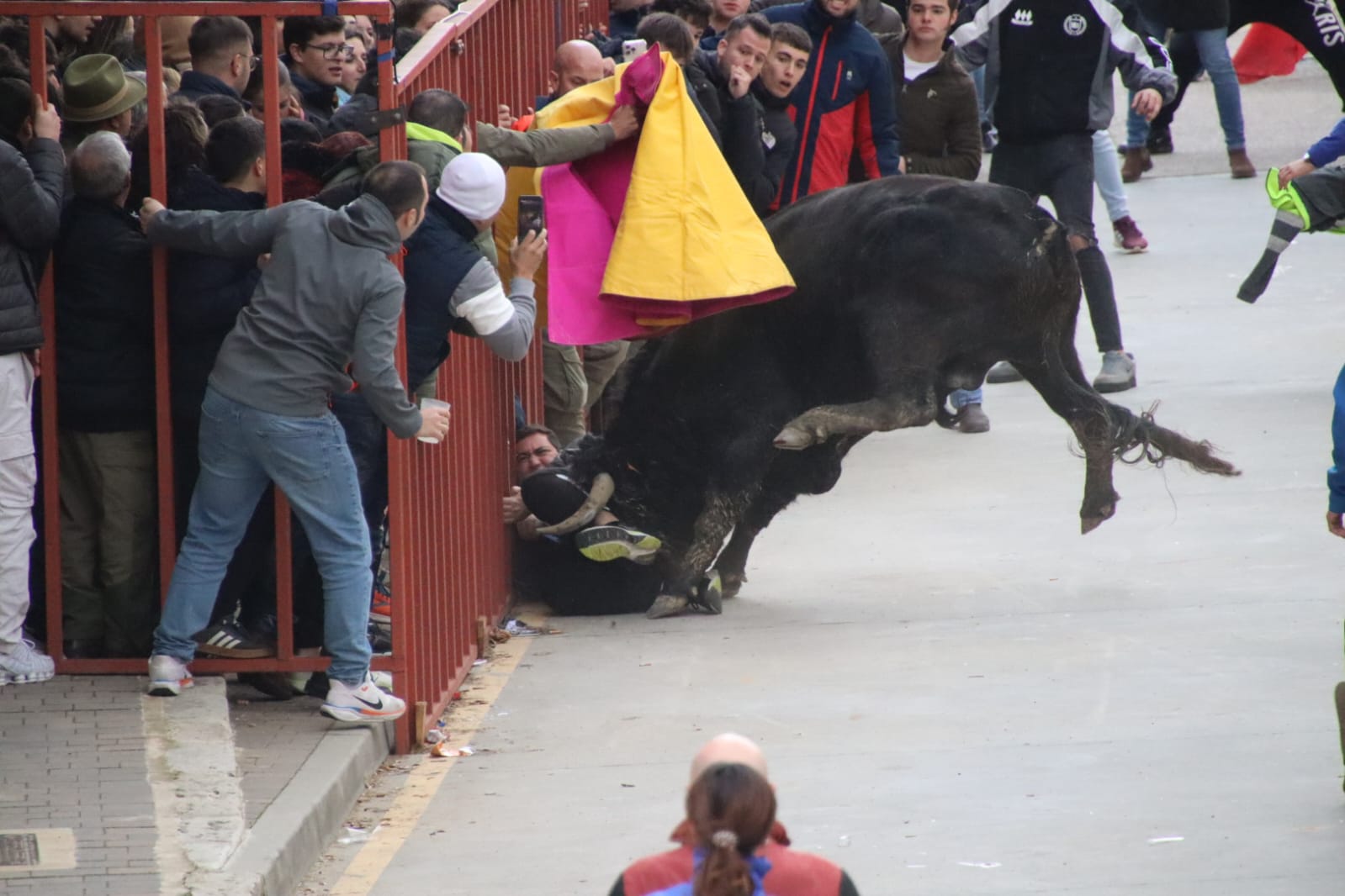 Secuencia de la aparatosa cogida a un aficionado en el Toro de Carnaval de Rioseco