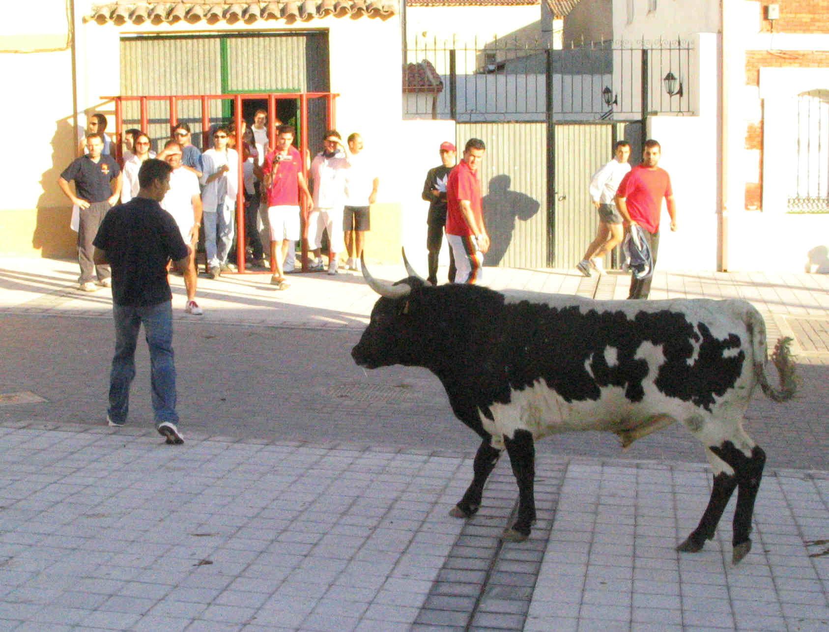 Un momento de la celebración del toro de la Atalaya. 22 de julio de 2005.
