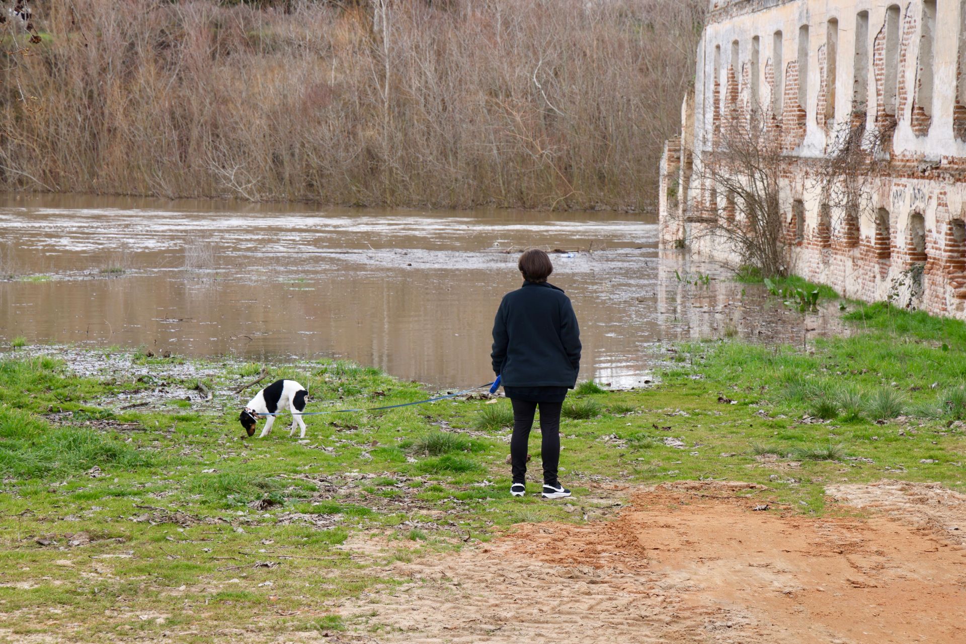 La crecida del río Cega, en imágenes