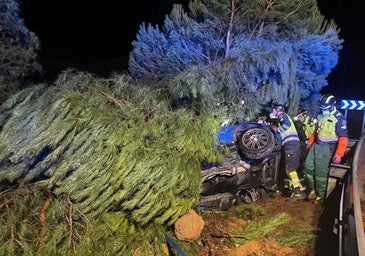 Herido un joven al salirse su coche de la A-6 en Tordesillas
