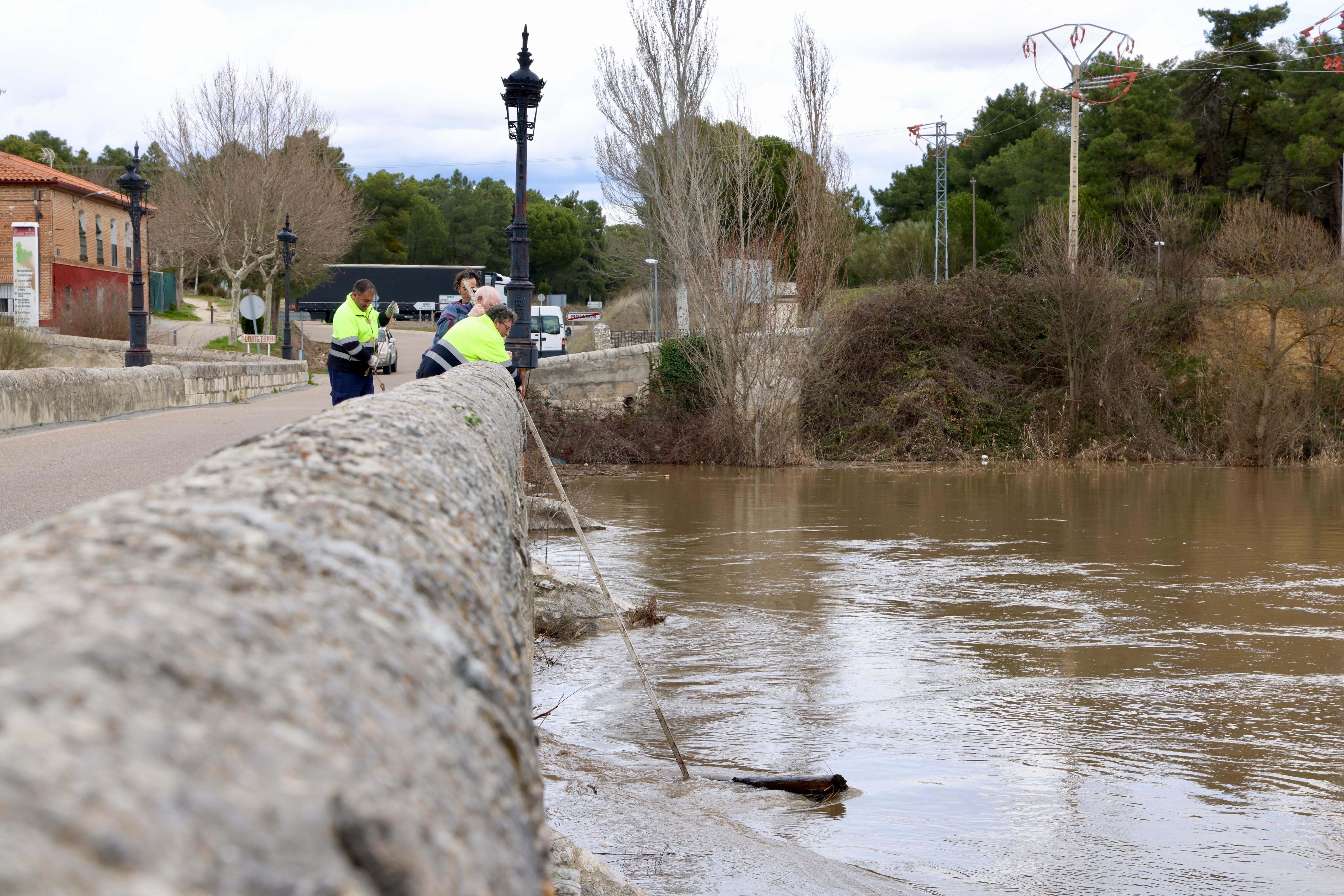 El río Cega a su paso por Mojados.