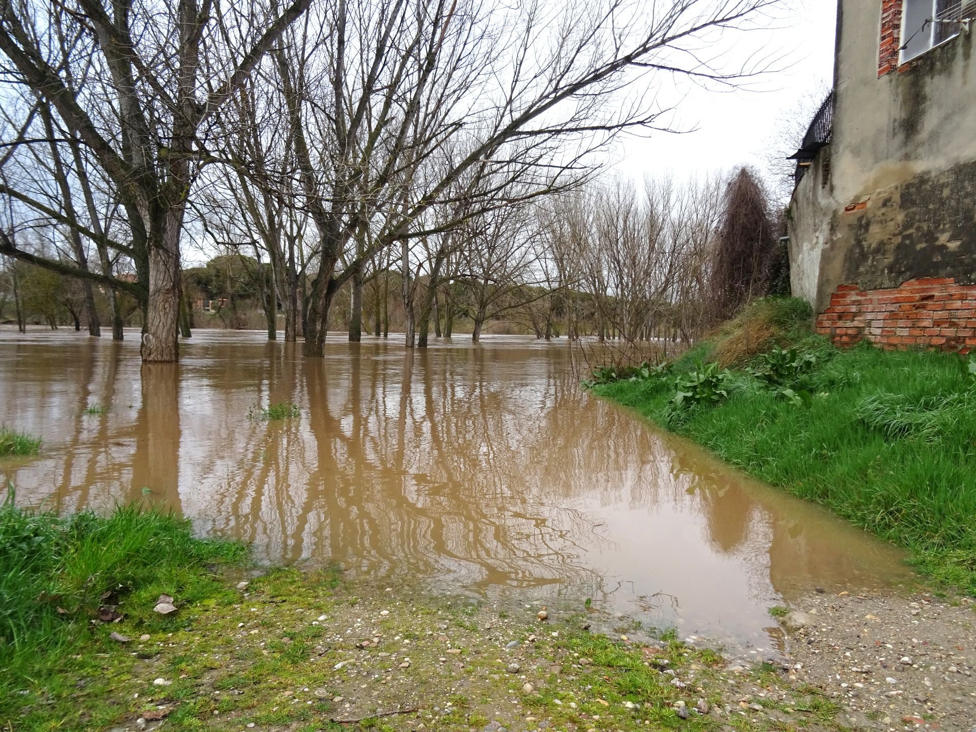 Las imágenes del Duero desbordado en Valladolid