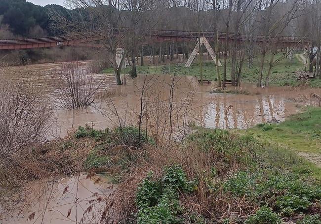 El Duero anega el parque junto a la pasarela de Pesquera de Duero.