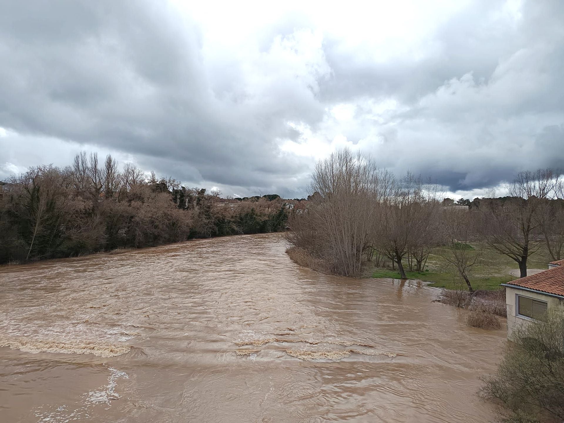 El río Duero a su paso por Tudela de Duero