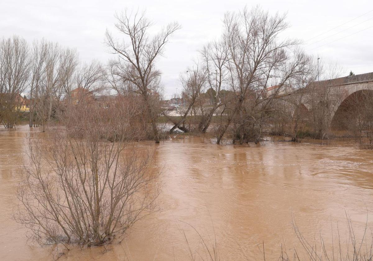 Riberas anegadas al borde del paso sobre el río del barrio de Puente Duero.