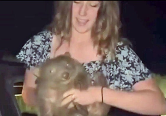 La influencer estadounidense con la cría de wombat.