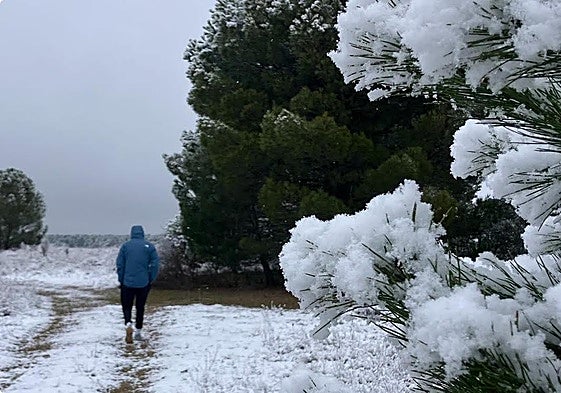 La nieve cubre tierras y árboles en las zonas altas de San Miguel del Arroyo.