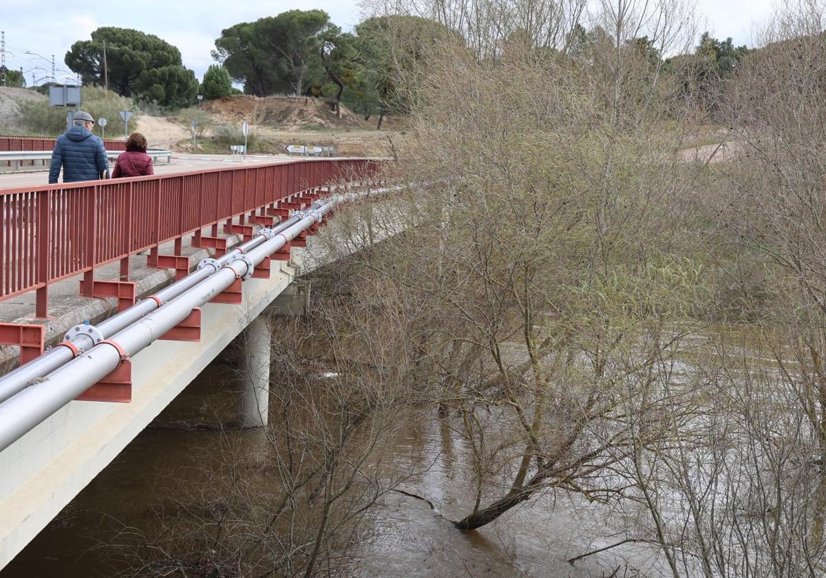 Situación del Adaja, con sus riberas anegadas, bajo el puente de acceso a Valdestillas.