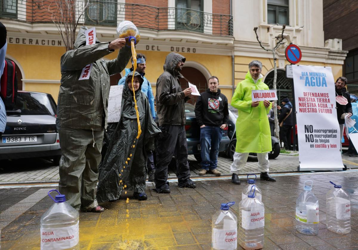 El medio rural de Castilla y León se rebela contra la proliferación de macrogranjas y plantas de biogás