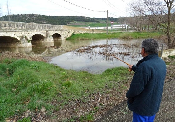 Un vecino de Olmos señala el puente de entrada al pueblo en el que se ha desbordado el Esgueva.