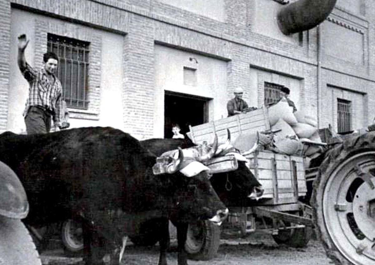 Imagen secundaria 1 - Imágenes del silo de cereal de la avenida de Gijón cuando aún estaba en uso en la segunda mitad del siglo XX.