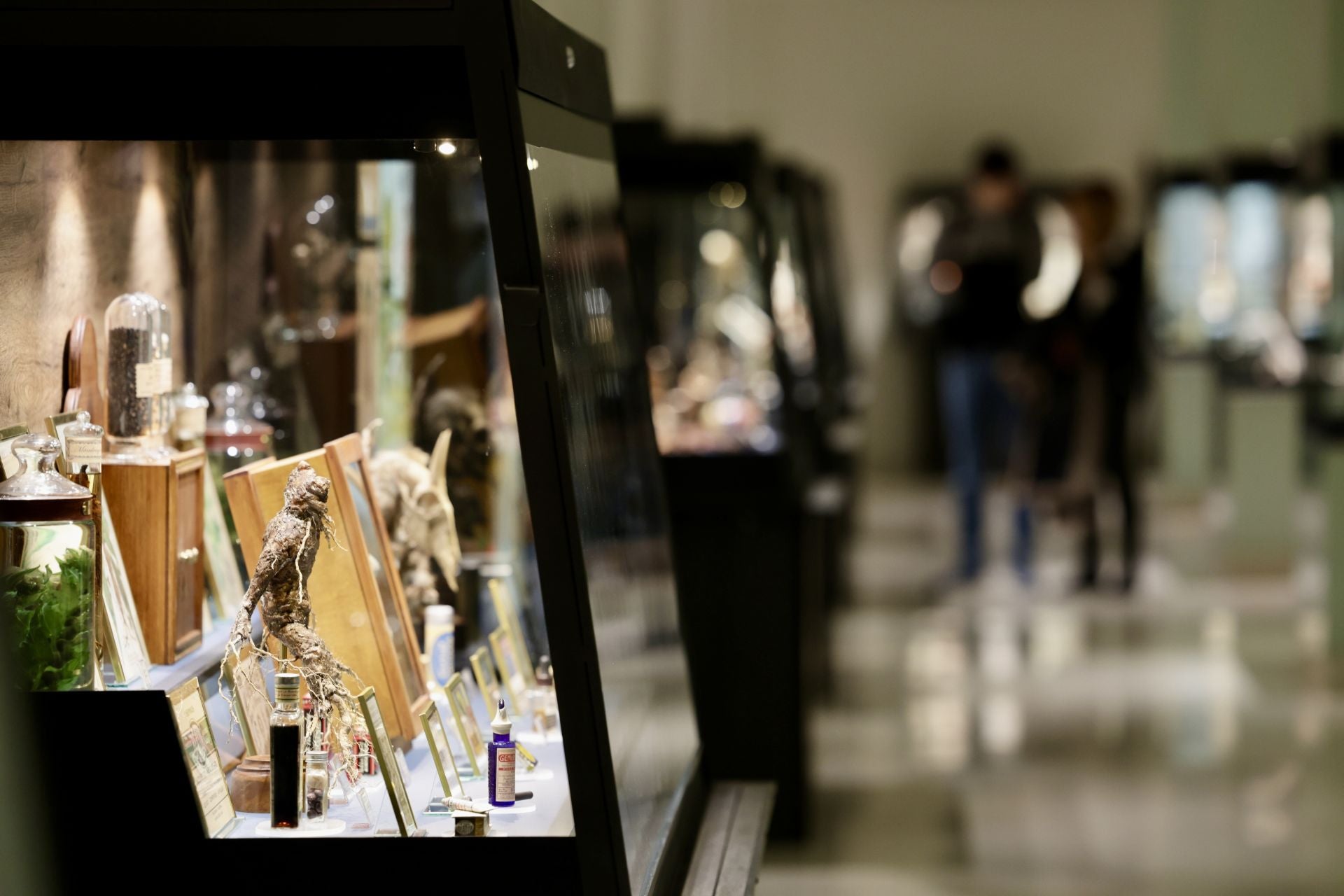 Exposición sobre venenos en el Museo de la Ciencia de Valladolid