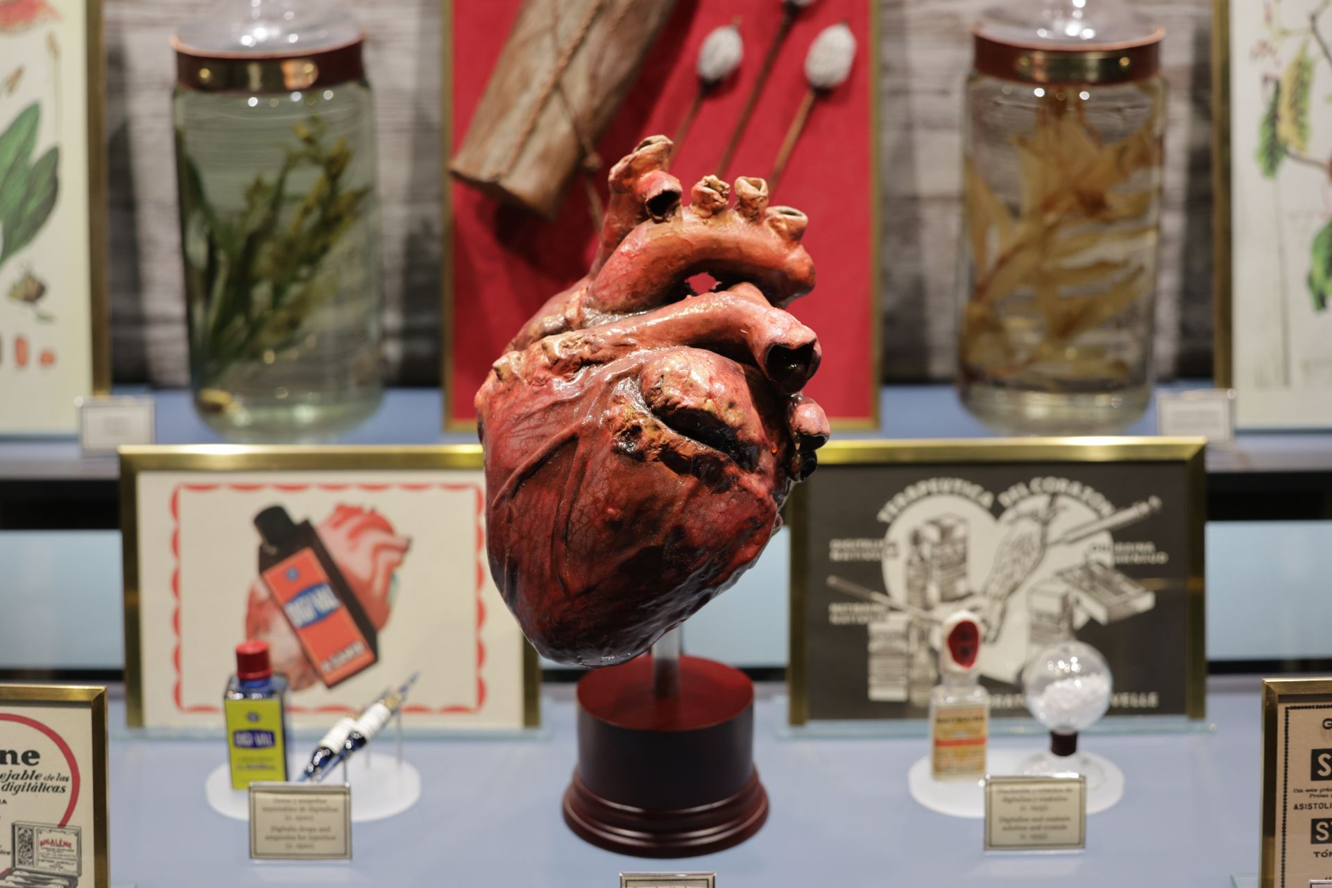 Exposición sobre venenos en el Museo de la Ciencia de Valladolid