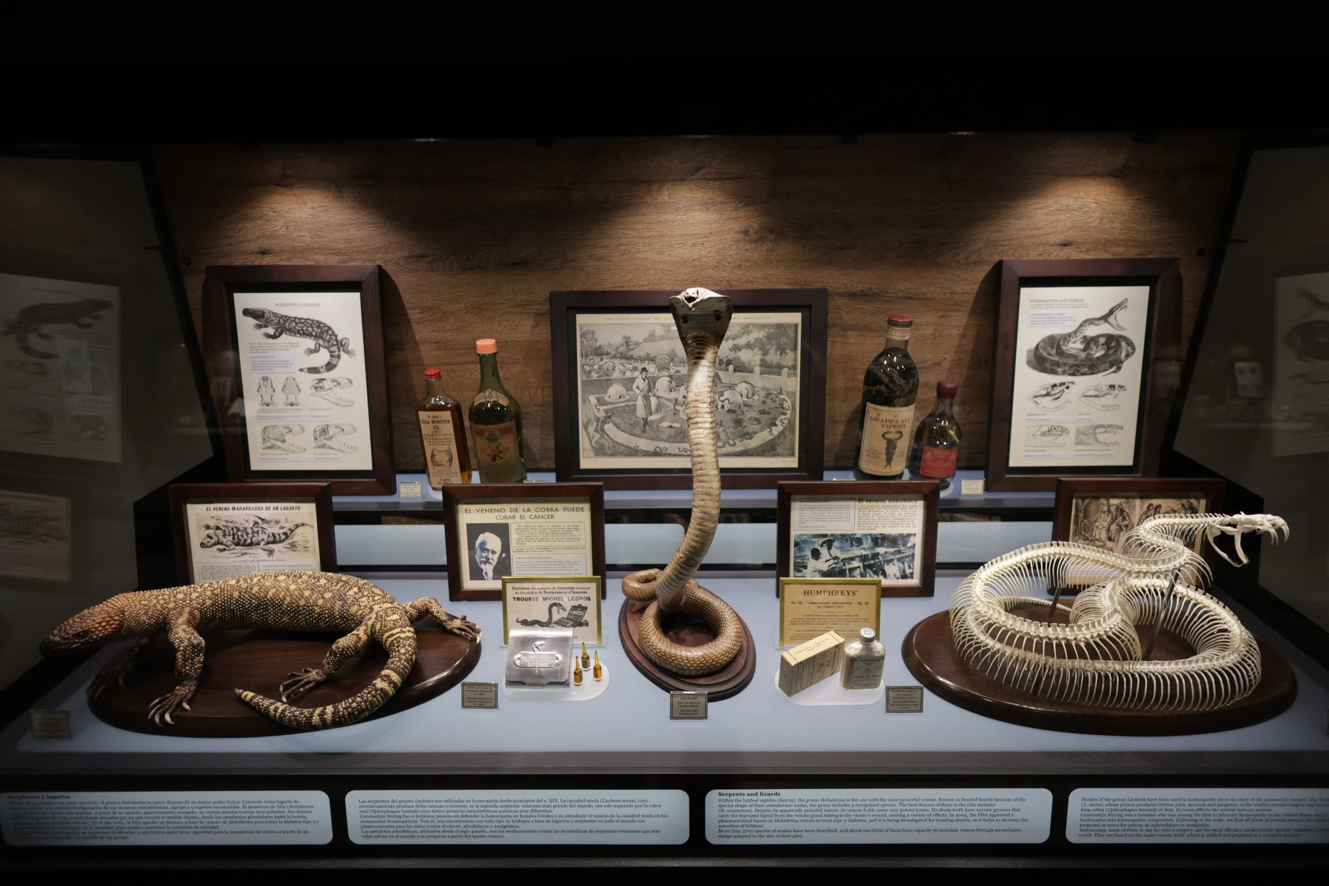 Exposición sobre venenos en el Museo de la Ciencia de Valladolid