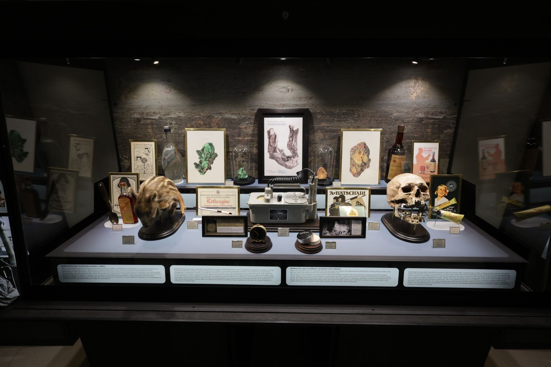 Exposición sobre venenos en el Museo de la Ciencia de Valladolid