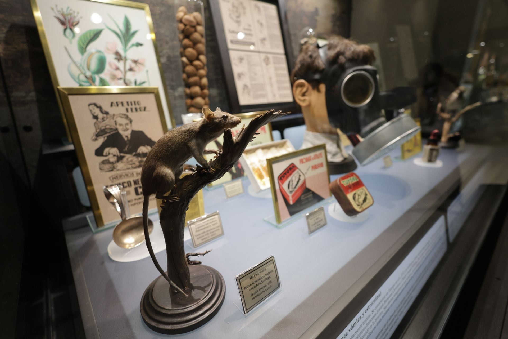 Exposición sobre venenos en el Museo de la Ciencia de Valladolid