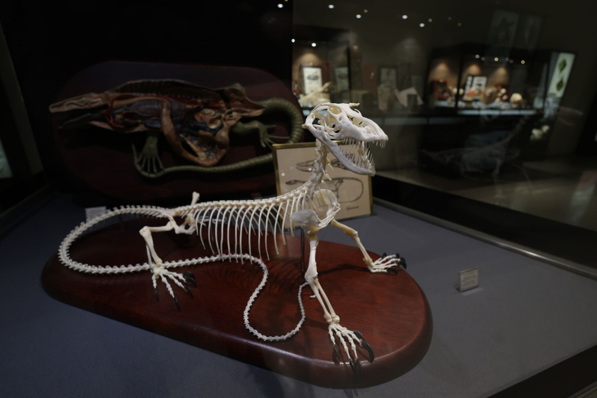 Exposición sobre venenos en el Museo de la Ciencia de Valladolid