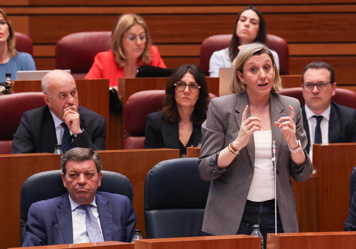 La consejera de Famila, Isabel Blanco, durante su intervención este martes en el pleno de las Cortes.